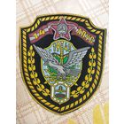 Нарукавный знак. 14 отдельный полк правительственной связи.