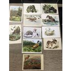 Фауна цена за все.