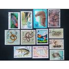 Фауна \74фа\рыбы моржи змеи  набор 12шт