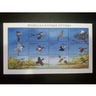 (Ф30-49) Фауна. Водно-болотные птицы + Утки. 1996. Листы с блоками