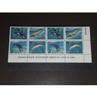 СССР - США 1990 Совместный выпуск. Морская фауна (дельфин, касатка, сивуч, калан). Два чистых квартблока в сцепке