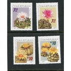 Чехия. Флора. Кактусы