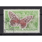 Французский Мадагаскар (MALGACHE) 1960  Фауна Насекомые Бабочки (Mi#446)