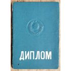 Диплом об окончании института и архивная справка на одно лицо (противоречат друг другу)