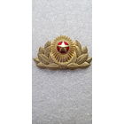 Кокарда служба безопасности президента Беларусь латунь*