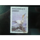 Мозамбик, колония Португалии, 2002. Северная олуша. Mi-2,4 евро гаш.