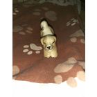 ЩЕНОК, собака, собачка Константиновка. Редкая. Трещина.