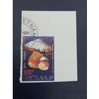 Вьетнам 1991г. Гриб