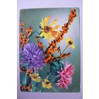 Цветы, 1967, подписана (ГДР).