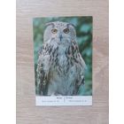 Календарик 1988