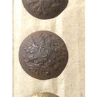 Царская пуговица гербовая