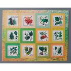 Деревья и кустарники. Стандарты, лист. Беларусь, 2004