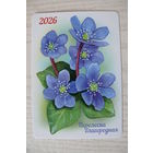 Календарик, 2026, Перелеска благородна, изд. "Белпочта".