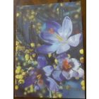 1987 год И.Дергилёв 8 марта