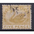 151.Aust. Великобритания. Австралийские штаты. Западная Австралия. Чёрный лебедь. Стандарт. 1890/93 гг. 5p. Mi.#38.