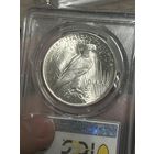 Доллар 1923 UNC MS 63 pcgs яркий шб! Супер красивый !