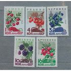 СССР. 1964г. Ягоды.