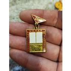 Социалистический союз польской молодежи