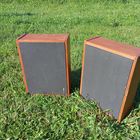 2 колонки акустические проигрывателя Аккорд (на динамиках 4ГД-35)