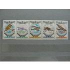 Продажа коллекции с 1 рубля! Чистые почтовые марки СССР в коллекционном** состоянии.