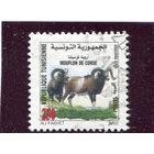 Тунис. Фауна. Европейский муфлон