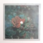 Гибкая пластинка с песней "Каракум" Исп. Игорь Саруханов. Студия звукозаписи Киев.