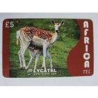 Телефонная карта. Турция