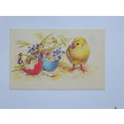 Латвия пасха 1991  9х14 см