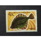 1983 СССР. Рыбы. Звездчатая камбала