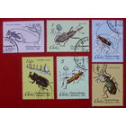Куба. Жуки. ( 6 марок ) 1980 года.