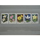 Продажа коллекции с 1 рубля! Чистые почтовые марки СССР в коллекционном** состоянии.