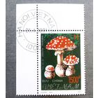 Марка Вьетнам 1991 год Грибы