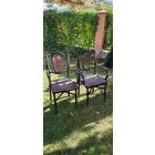 Пара антикварных кресел Конъ 19 век