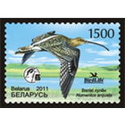 2011. 866. Большой кроншнеп **