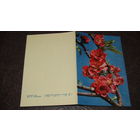 Открытка цветы