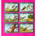 Куба. Птицы. ( 6 марок ) 1976 года. 2-13.