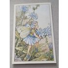 Посткроссинг. цикориевая фея  (10х15). Подписана.