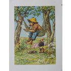 Ёжики ГДР 1965  10х15 см