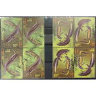 Беларусь 2012  Тритоны (кварты)