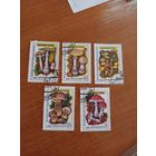 1986 СССР флора грибы клей MNH** (4-1)
