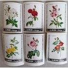 Аджман. Розы.