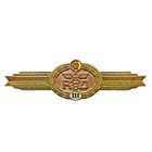 Национальная народная армия ГДР. Знак классификации специалиста тыловой службы. 3 класс
