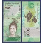 Венесуэла, 5000 боливар 2017 г, P-97c (D, Луиза Касерес де Арисменди, ястребиная черепаха), UNC