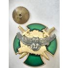 Знак Разведывательное подразделение погранвойск