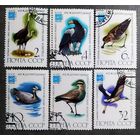 Марки СССР 1982 год Орнитологический конгресс