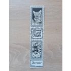 Закладка 1990-е кооператив Зенит