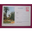 ХМК Гагра. Курортный парк. 1954 г. Чистый.