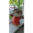 Панама тропентарн, Германия, Gr. 59