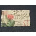 Германия.2003г.Цветы.
