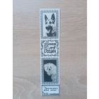 Закладка 1990-е кооператив Зенит